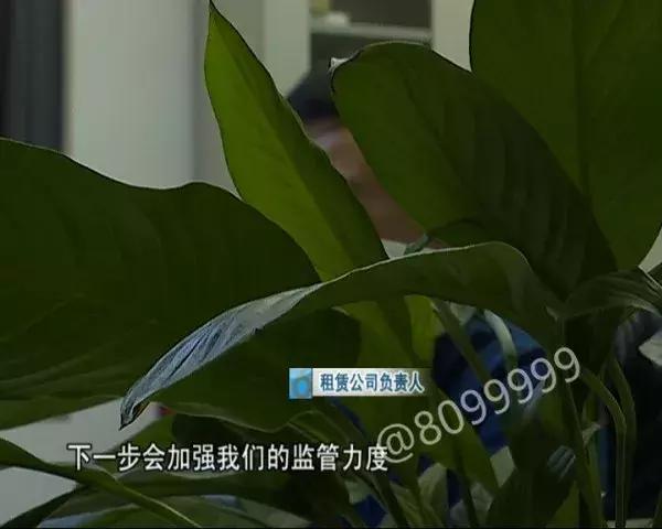 网约司机开车冲进滇池 (网约车司机把车开进滇池)