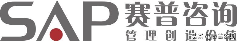 赛普咨询大运营,赛普咨询管理公司