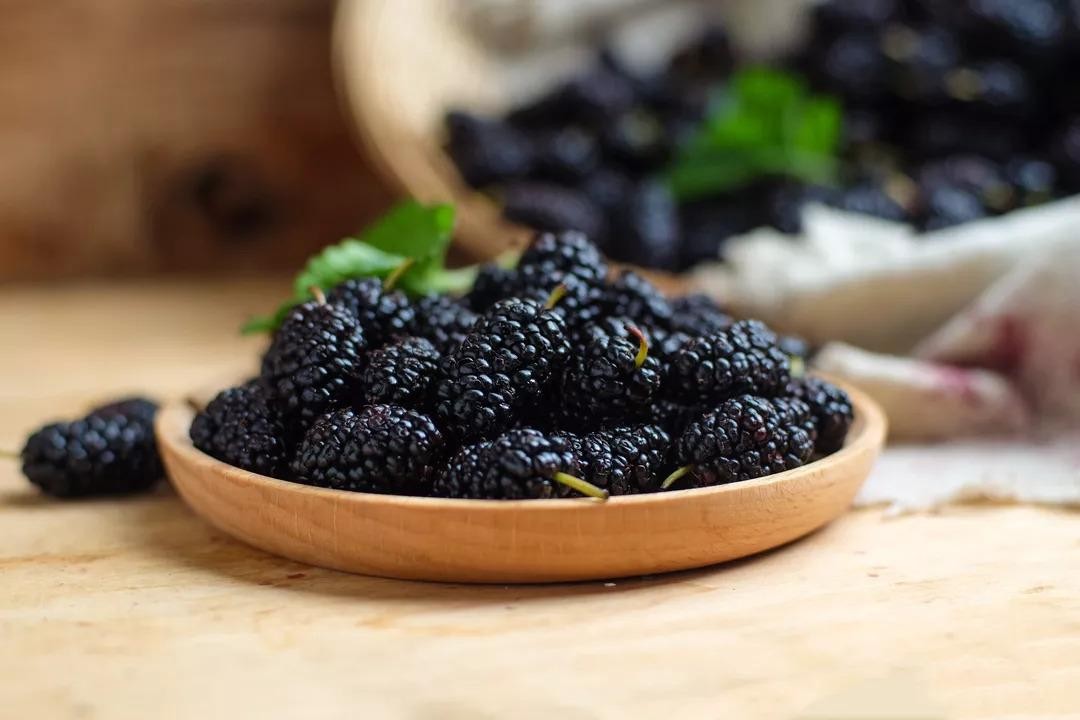 桑葚是一味药食两用的滋补佳品,药食两用桑葚