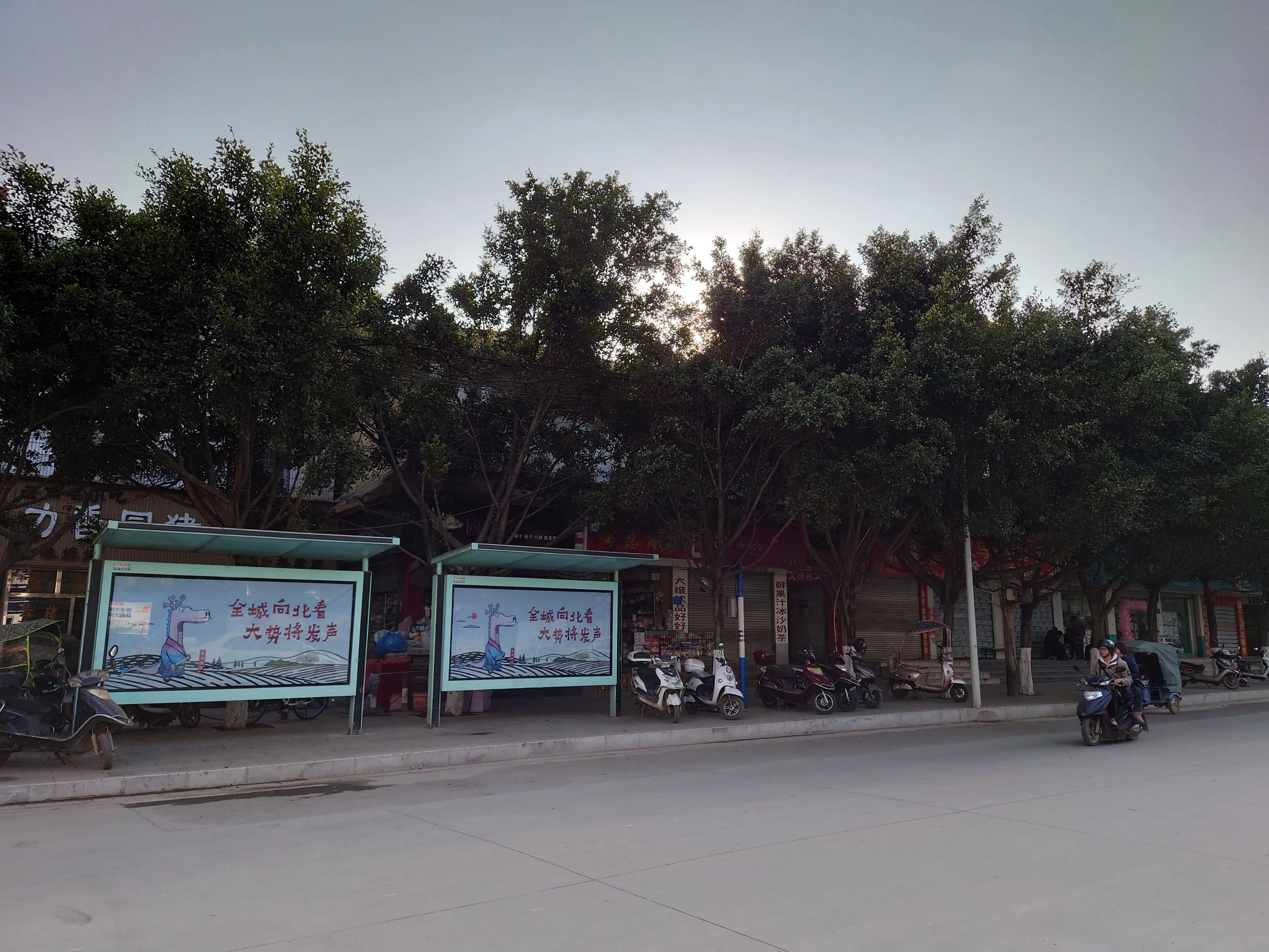 小米10至尊纪念版和荣耀magic3pro,小米10至尊纪念版对比小米11ultra