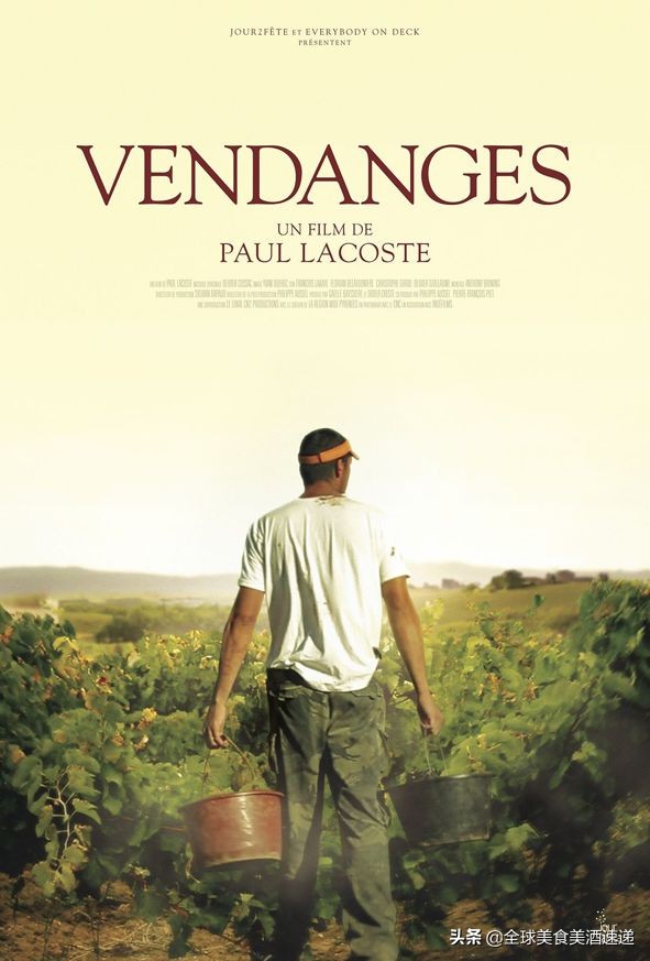 法国葡萄园工人收入,在法国葡萄酒厂打工赚钱吗