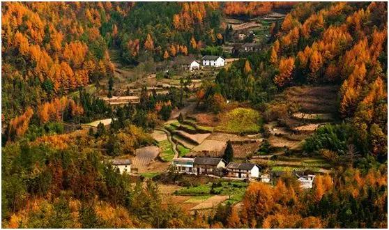 恩施，凭什么持续美哭全国，惊艳世界？