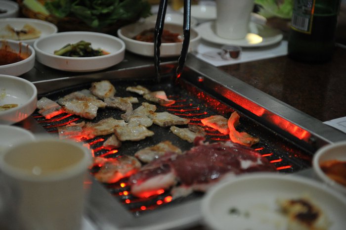 七彩神仙爱好者,野生七彩神仙开口