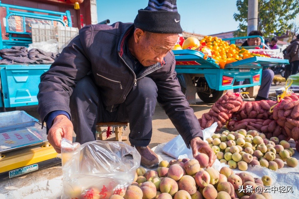 农村创业现在适合干什么,适合一个人在家创业的小本生意