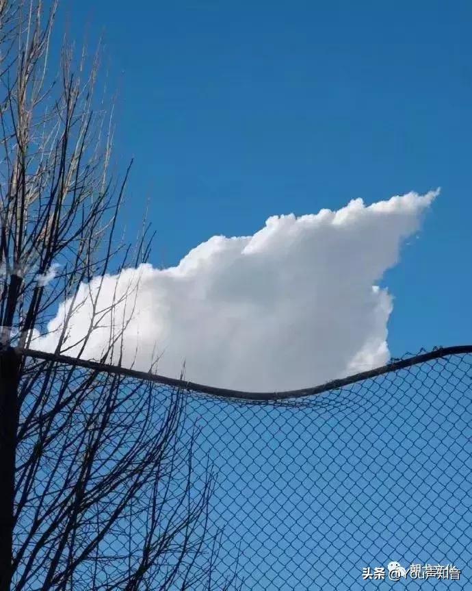 思念如马自别离未停蹄,思念如马自别离未停蹄下一句