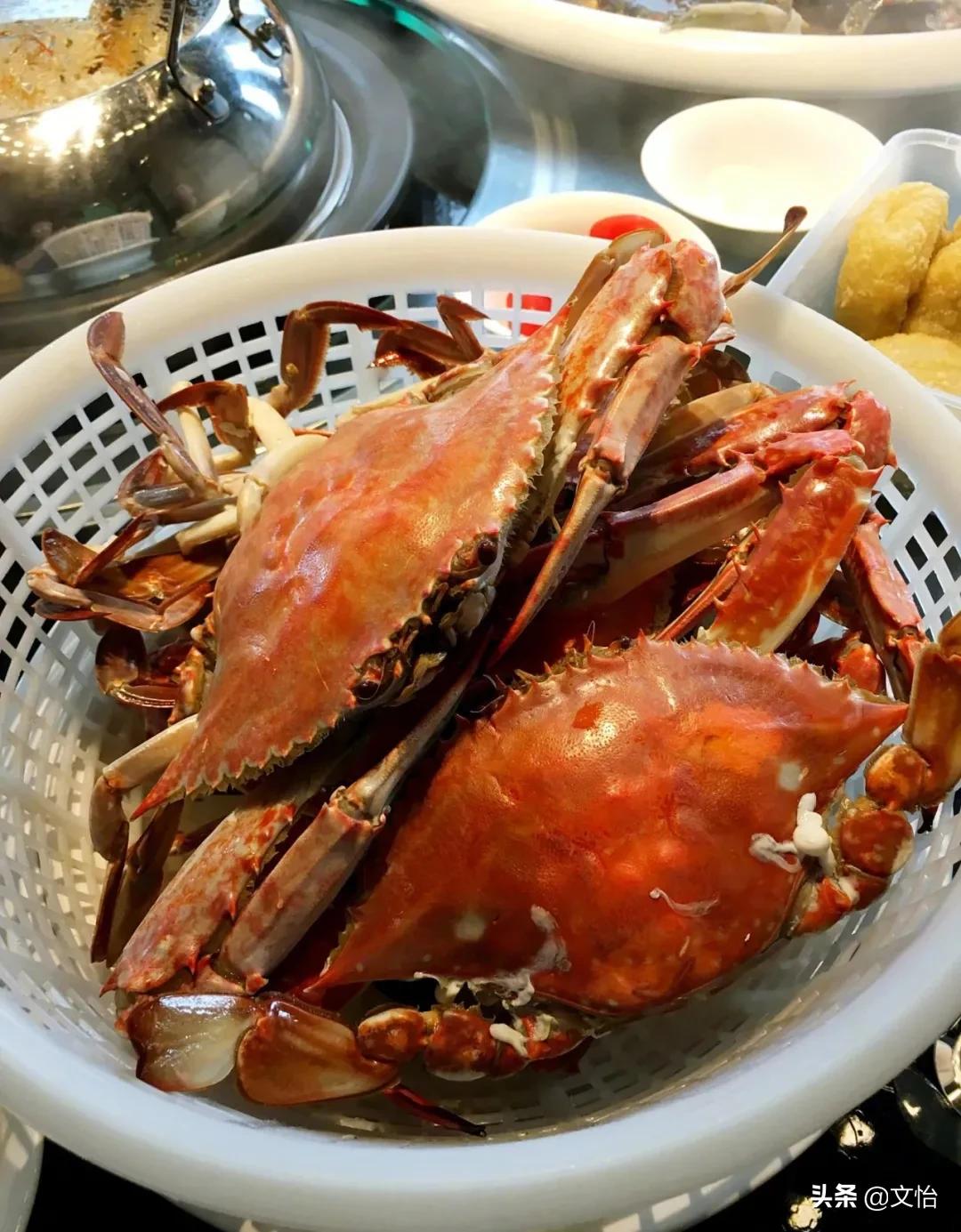 海蟹和河蟹有什么区别哪个鲜,科普河蟹和海蟹的区别