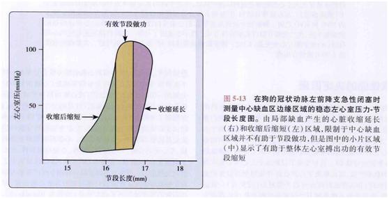 卡普兰教授的五本书,卡普兰治心衰新药