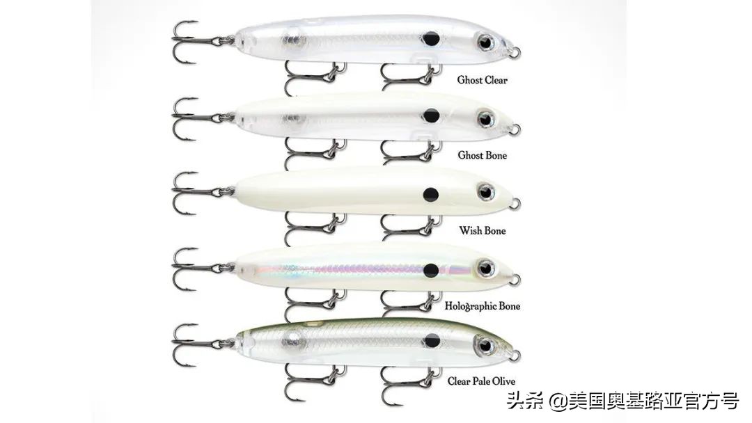 全国渔具展会2021时间表图片,2023国际渔具展会大全一览表