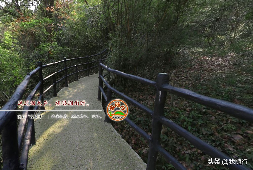 婺源江湾镇路线,婺源旅游攻略二日游江湾出发