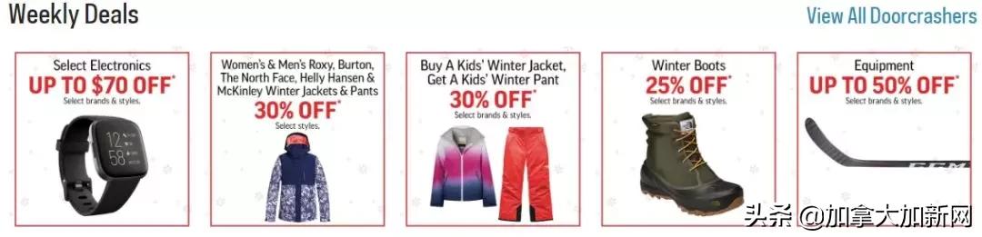 fightday新出的拳套,fightday拳套多少钱