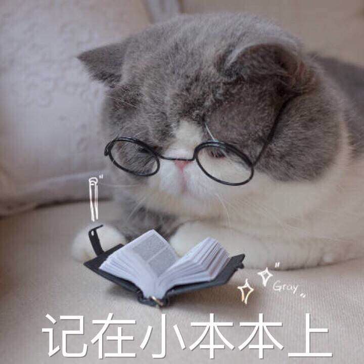 详解治疗猫癣的六大步骤,猫咪得了猫癣怎么治疗好得快