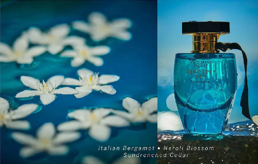 19年爆款香水,最新款魅力四射法国香水