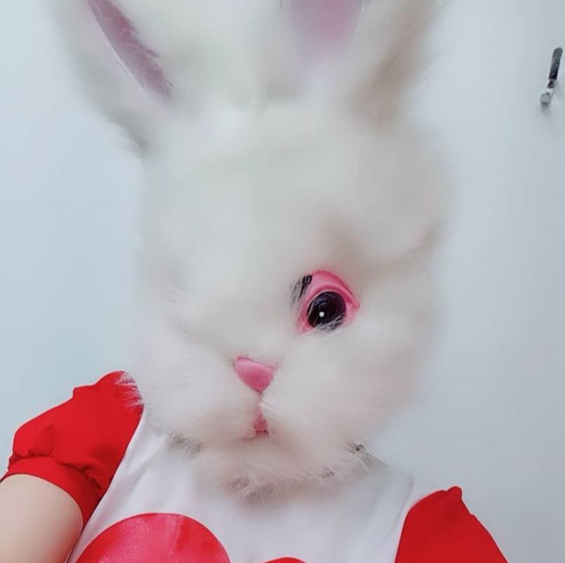 新女团公约要拿Billboard一位，网友：一辈子都要带着面具了？