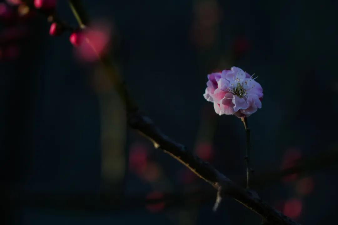 趣味国学小知识,中国人必知的100个国学知识