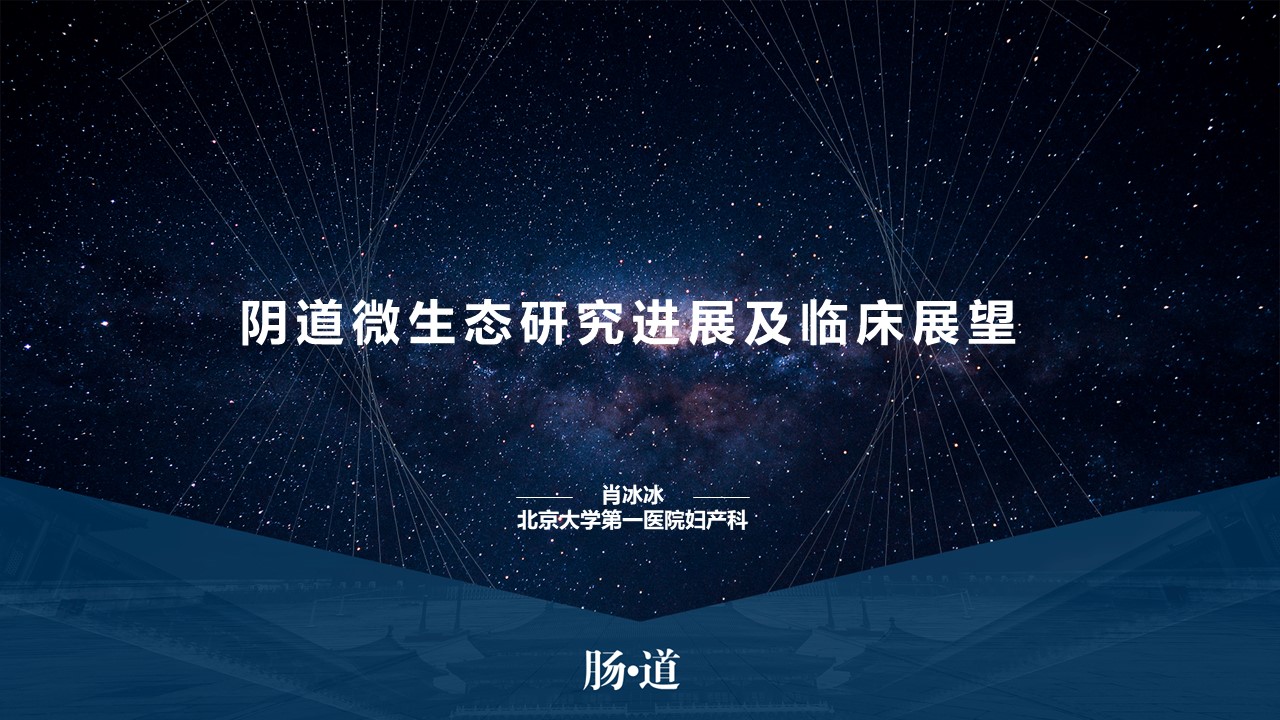 肖冰冰,肖冰冰的创作