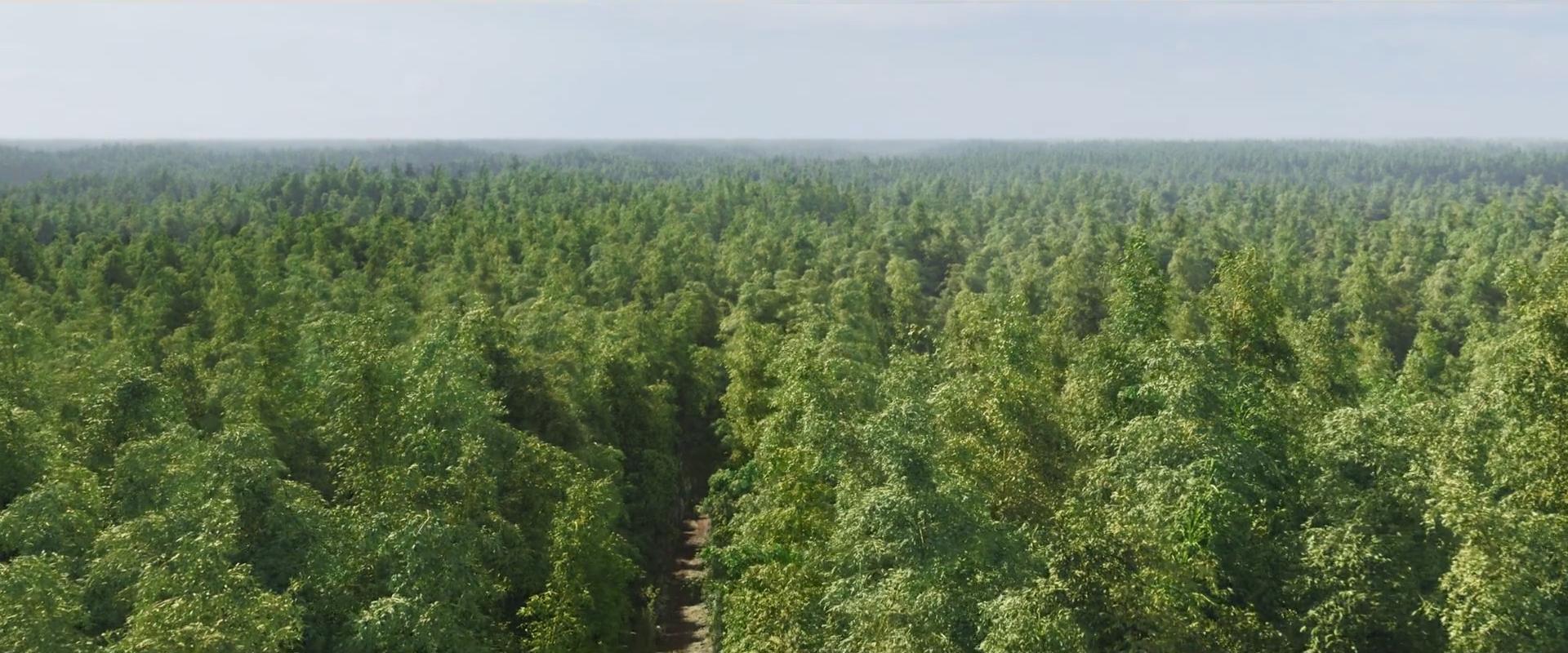 尚气与十环传奇为什么遭抵制,看完尚气与十环传奇之后看什么