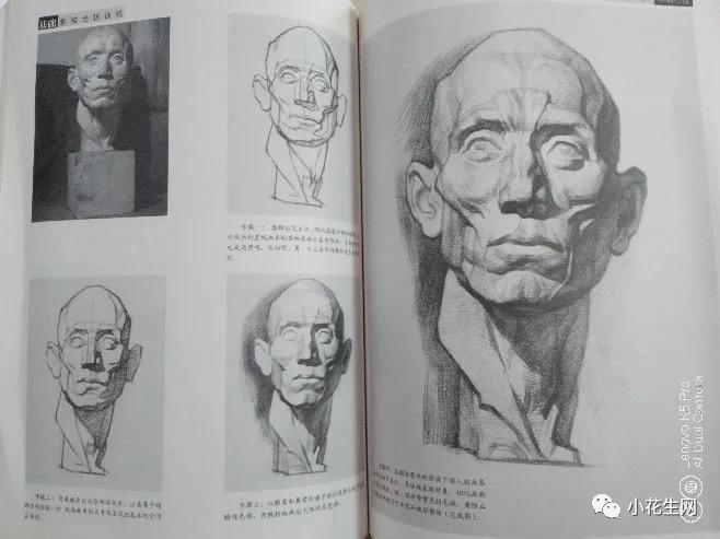 从零开始学绘画简单入门教程,从零开始学绘画必备的画