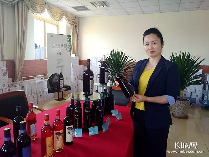 县域经济参观感悟,昌黎葡萄酒产业