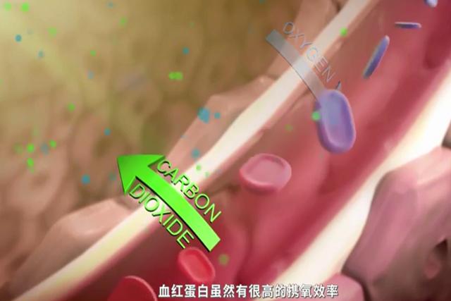 如何通过呼吸锻炼心肺,运动正确的呼吸模式