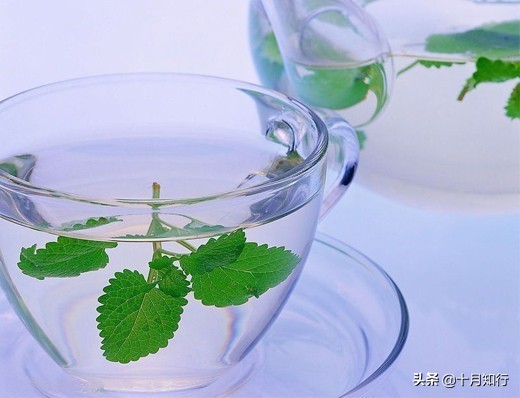 运动减肥忽略这4点会永远瘦不下,怎么运动跟养生都瘦不下来