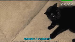 爽上天！宅在家你对这些“小绝招”地力量一无所知