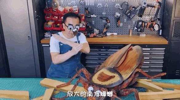 如何灭绝室内蟑螂虫卵,消除老房子蟑螂的方法