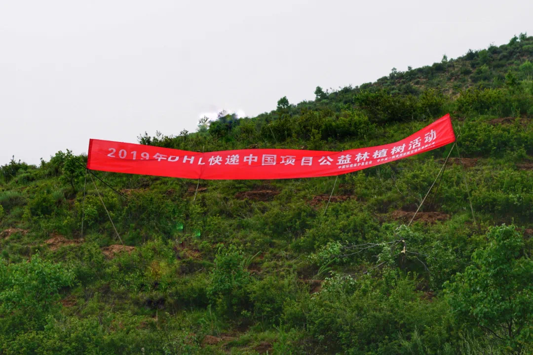 德国邮政战略,德国邮政敦豪集团