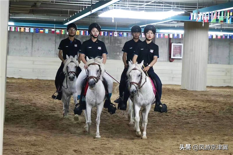 北京大兴马术训练基地活动内容,跑马场北京