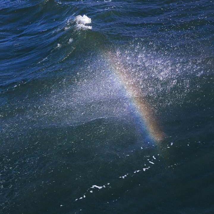 有趣的锁骨千篇一律,好看有趣的锁骨