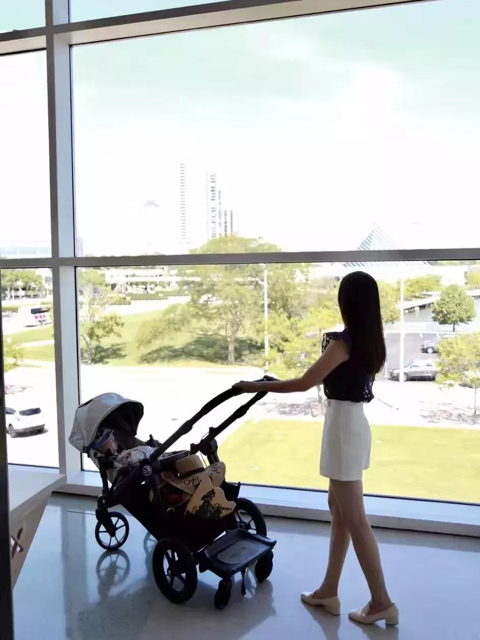 芝加哥及周边的好去处,芝加哥周边游玩