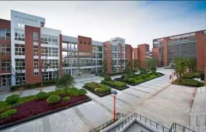 合肥小升初要学习哪些,合肥小升初有哪些择校方法