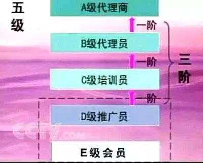 净网2019骗局视频,净网2019最后的骗局