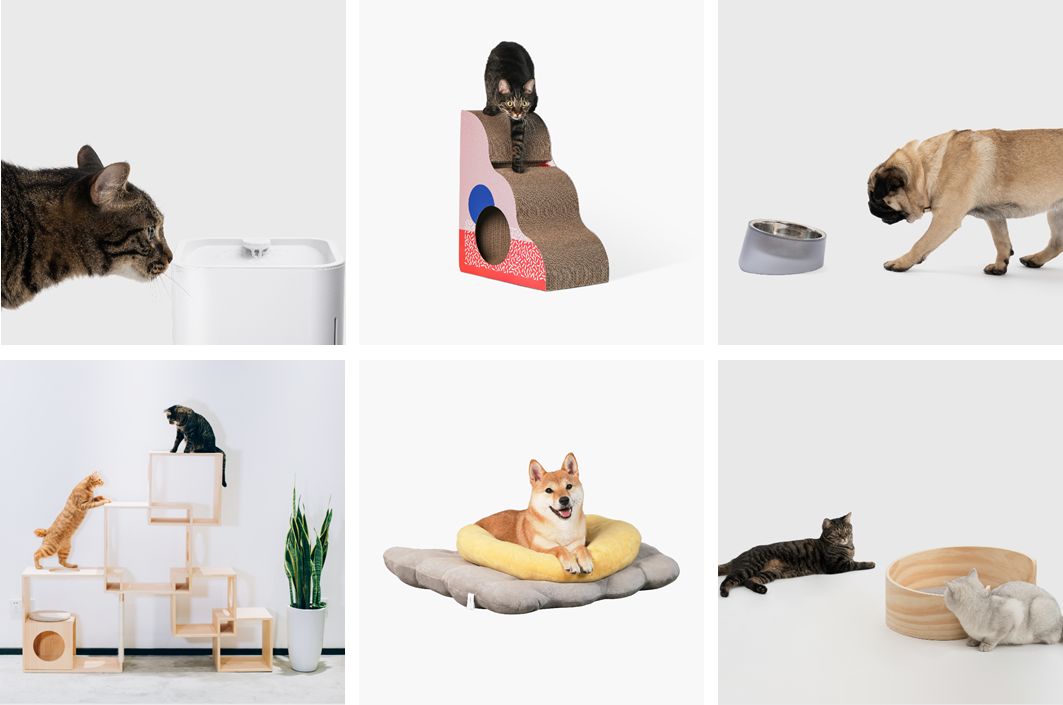 宠物比人吃得好,宠物比人金贵系列