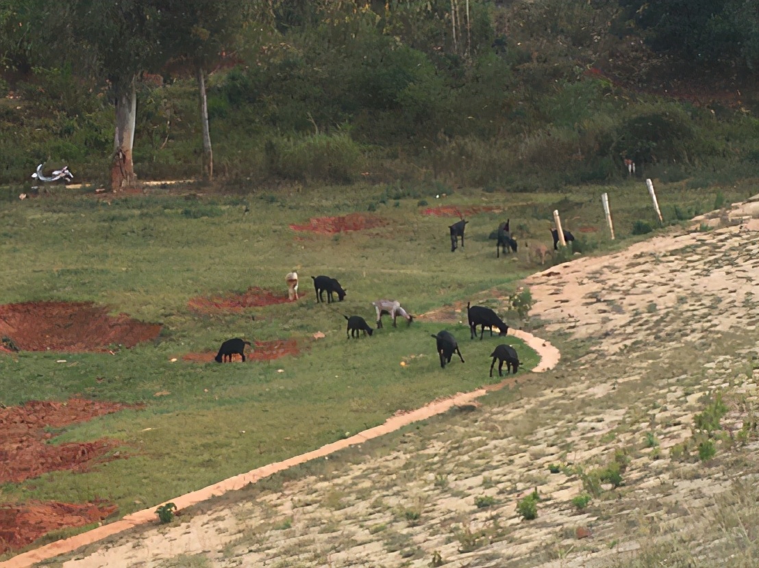 探访石林彝族第一村五棵树村,石林彝族第一村攻略