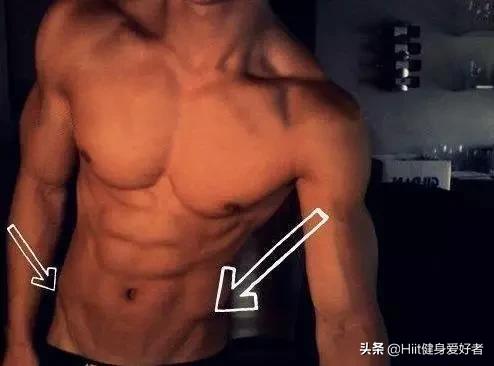 马甲线和人鱼线的区别图示,女生怎么能练马甲线和人鱼线