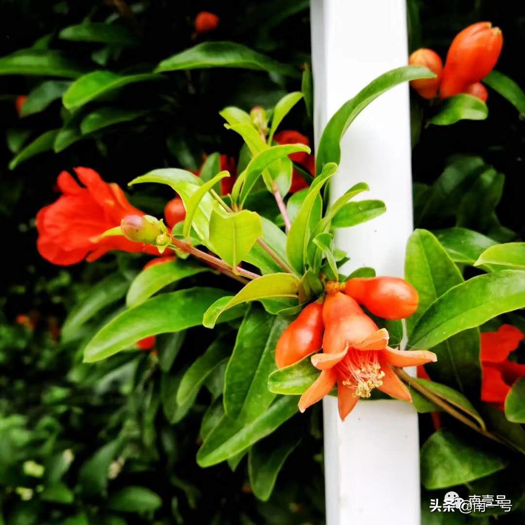 报恩和自私,报恩和报仇的区别