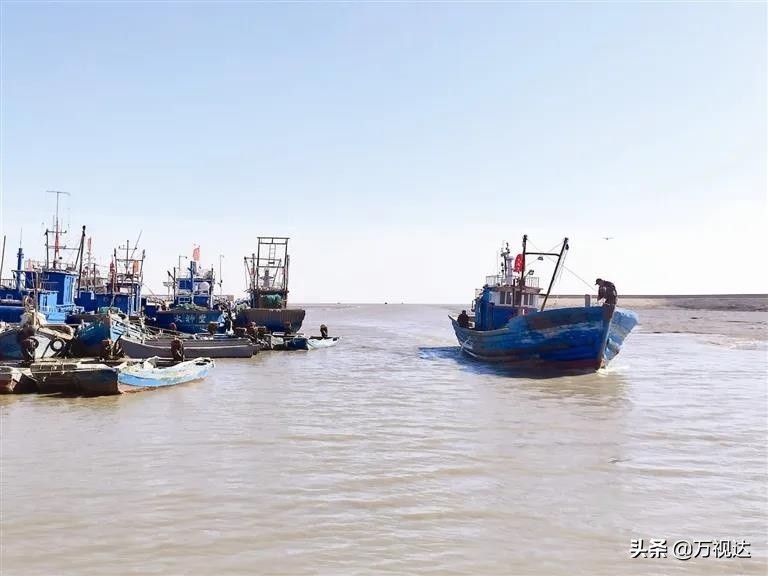 据说在天津，没有一只皮皮虾能活着走出去！