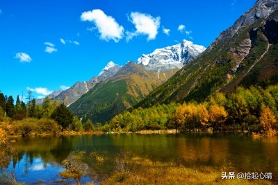 张小娴的唯美语录,张小娴的经典语录句子大全