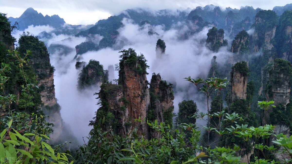 广州至莽山国家森林公园旅游攻略,莽山国家森林公园自驾游一天攻略