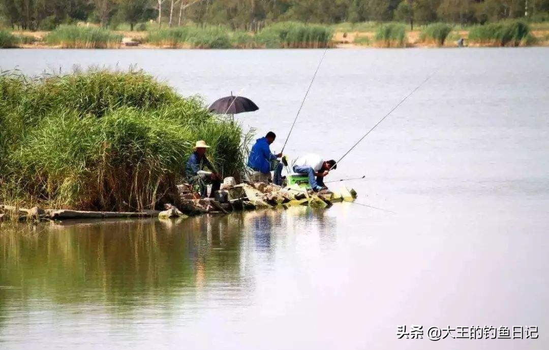 野钓浮钓调漂最佳方法,野钓浮漂怎么调最准确
