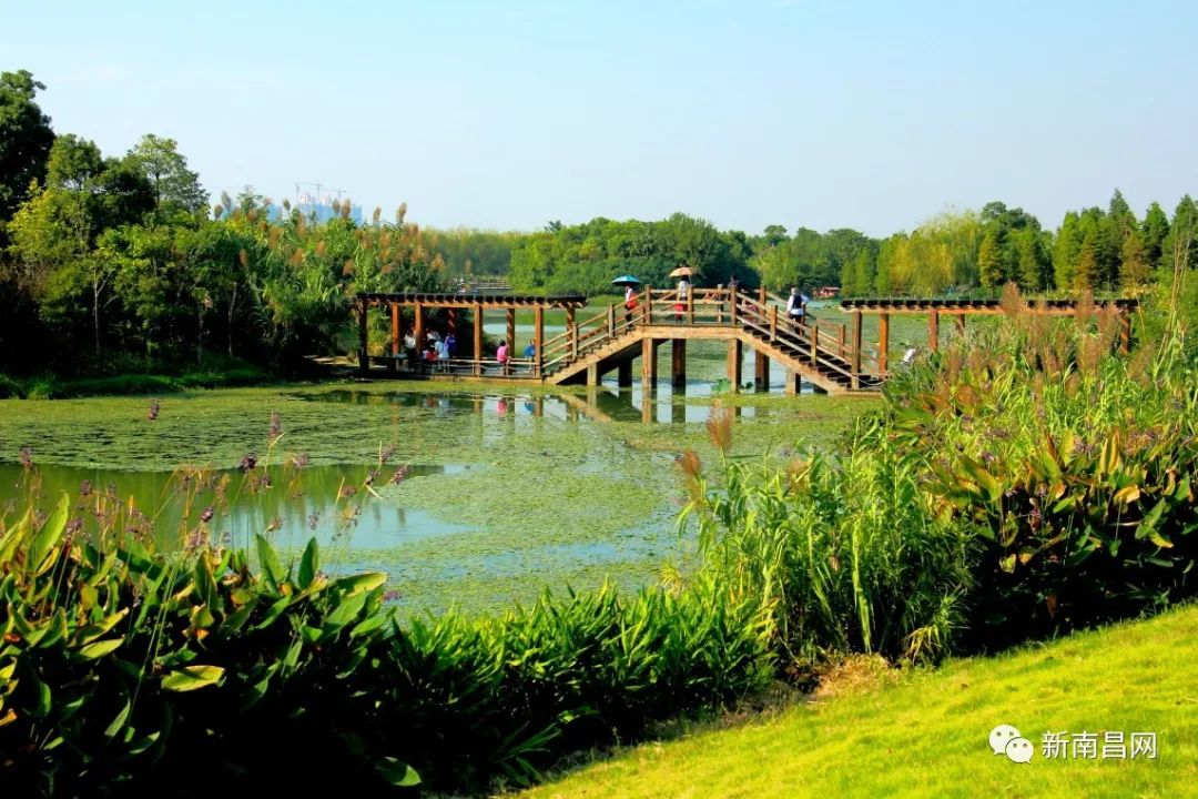 南昌春游最值得去的景点有哪些,南昌五一最美景点