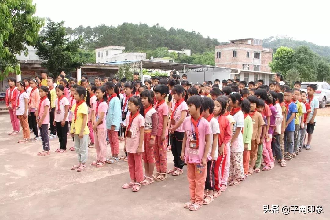 广西省平南县大洲镇潭龙村,广西平南县大洲镇潭龙村