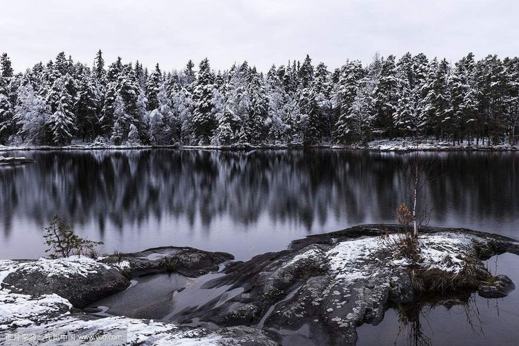秋韵温柔岁月，冬情惊艳时光