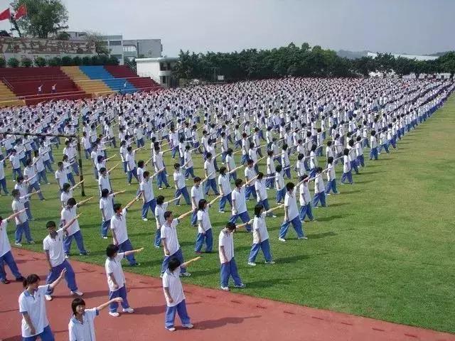 国际学校校园社团,国际学校的社团