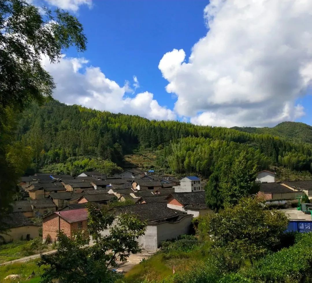 原创诗词14首,经典诗词36首