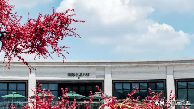 谈谈泾河新城,什么是泾河新城四纵三横