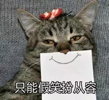 养了5年的猫居然让我丢掉,我养了七只猫