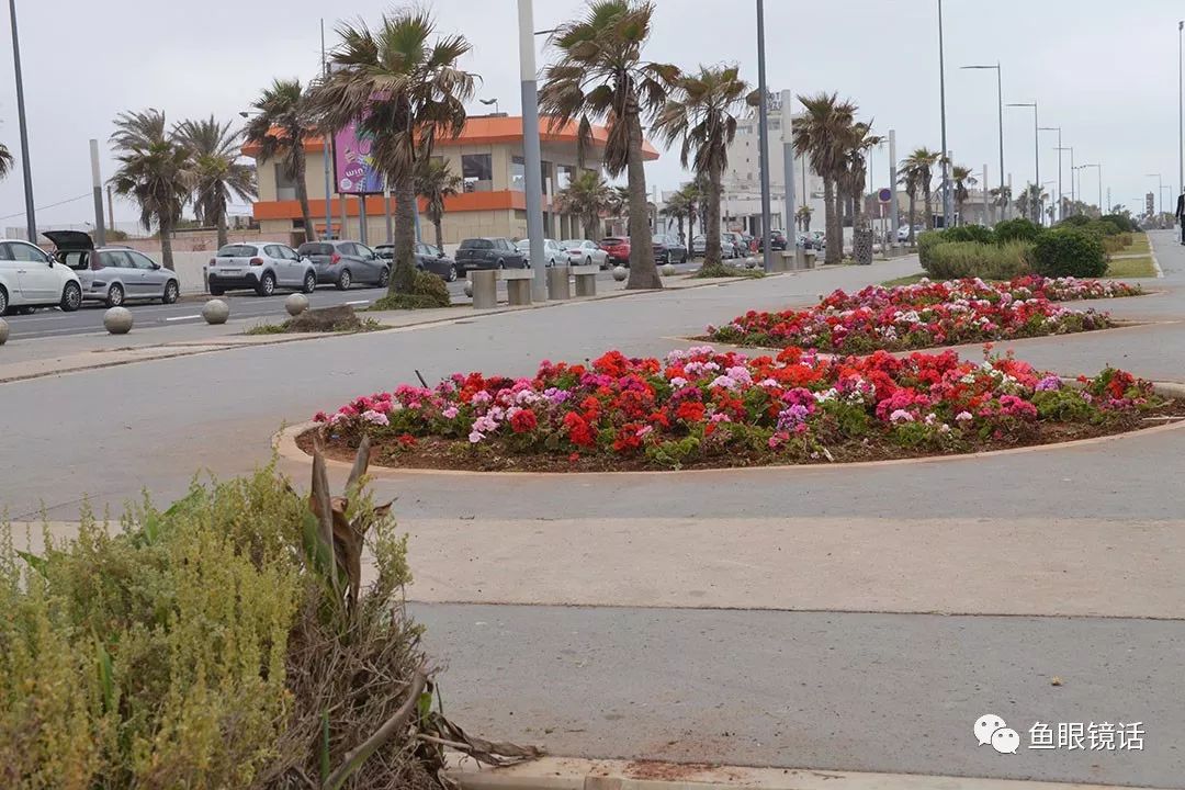 仔细看一看：包容的力量到底有多大？