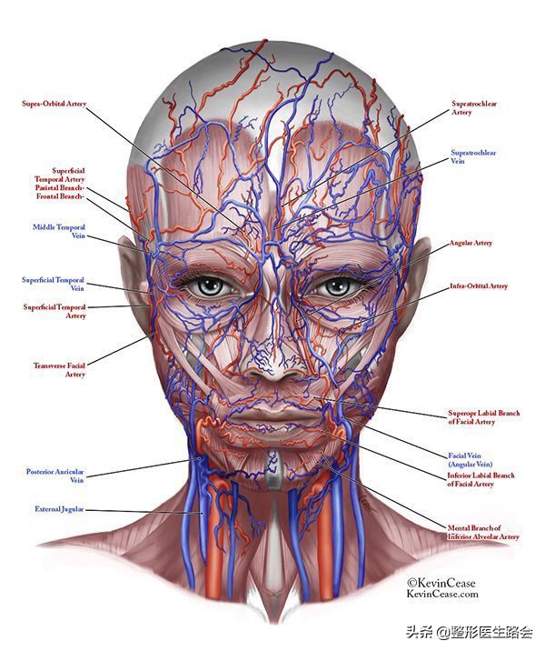 玻尿酸注射隆鼻可以热敷吗,玻尿酸注射鼻子有什么危害