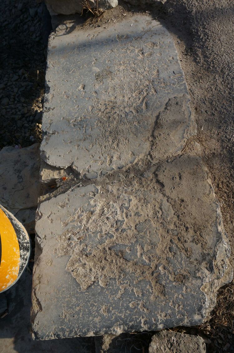 山东淄博有什么传说,淄博淄川凤凰山传说